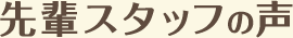 先輩スタッフの声